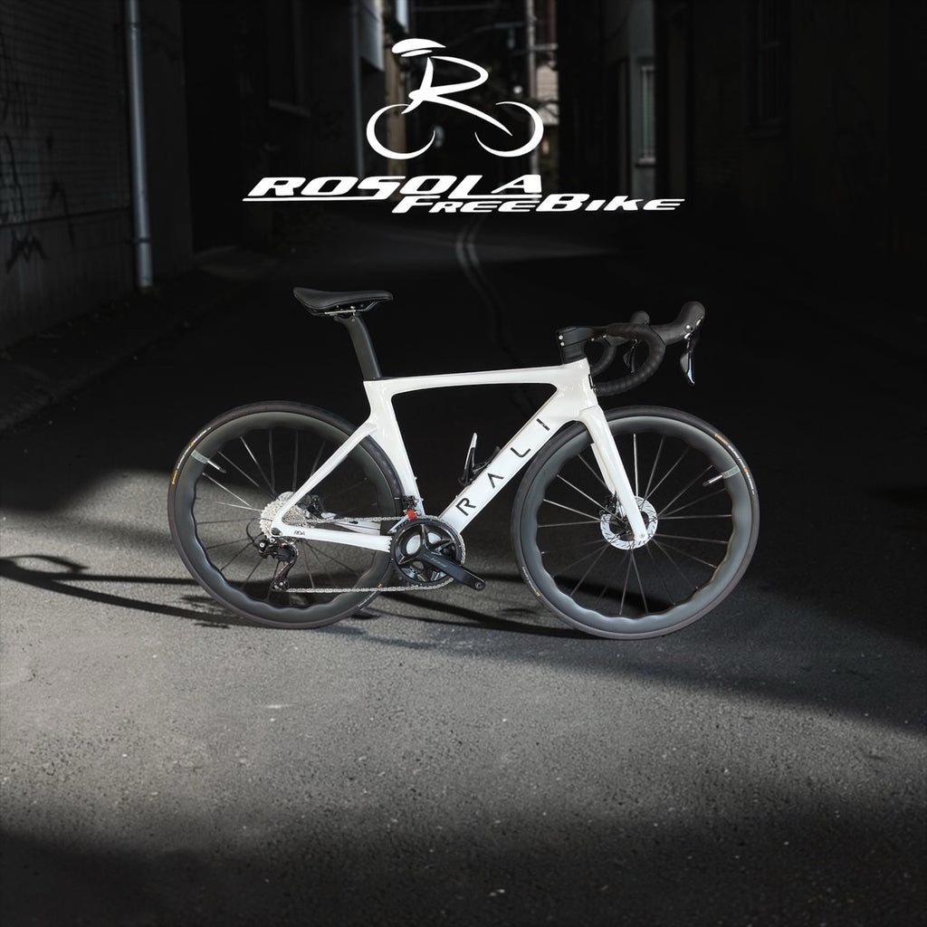 BICICLETTA RALI RDA DA STRADA SHIMANO 105 MEC