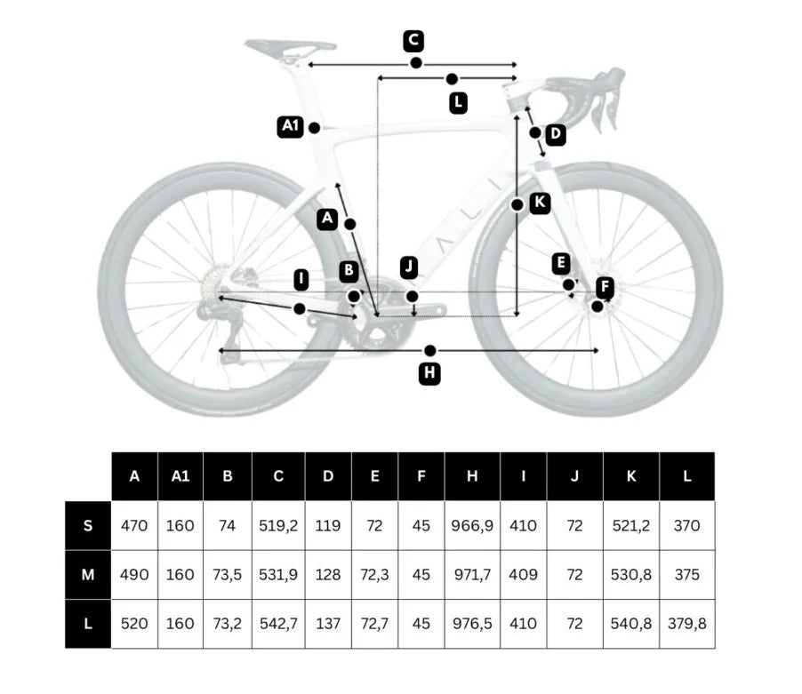 RALI RDA SHIMANO ULTEGRA DI2 RUOTA IN CARBONIO