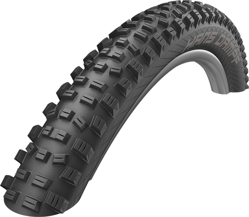 Schwalbe Hans Dampf Performance Addix 24x2.35" TLR pneumatico pieghevole