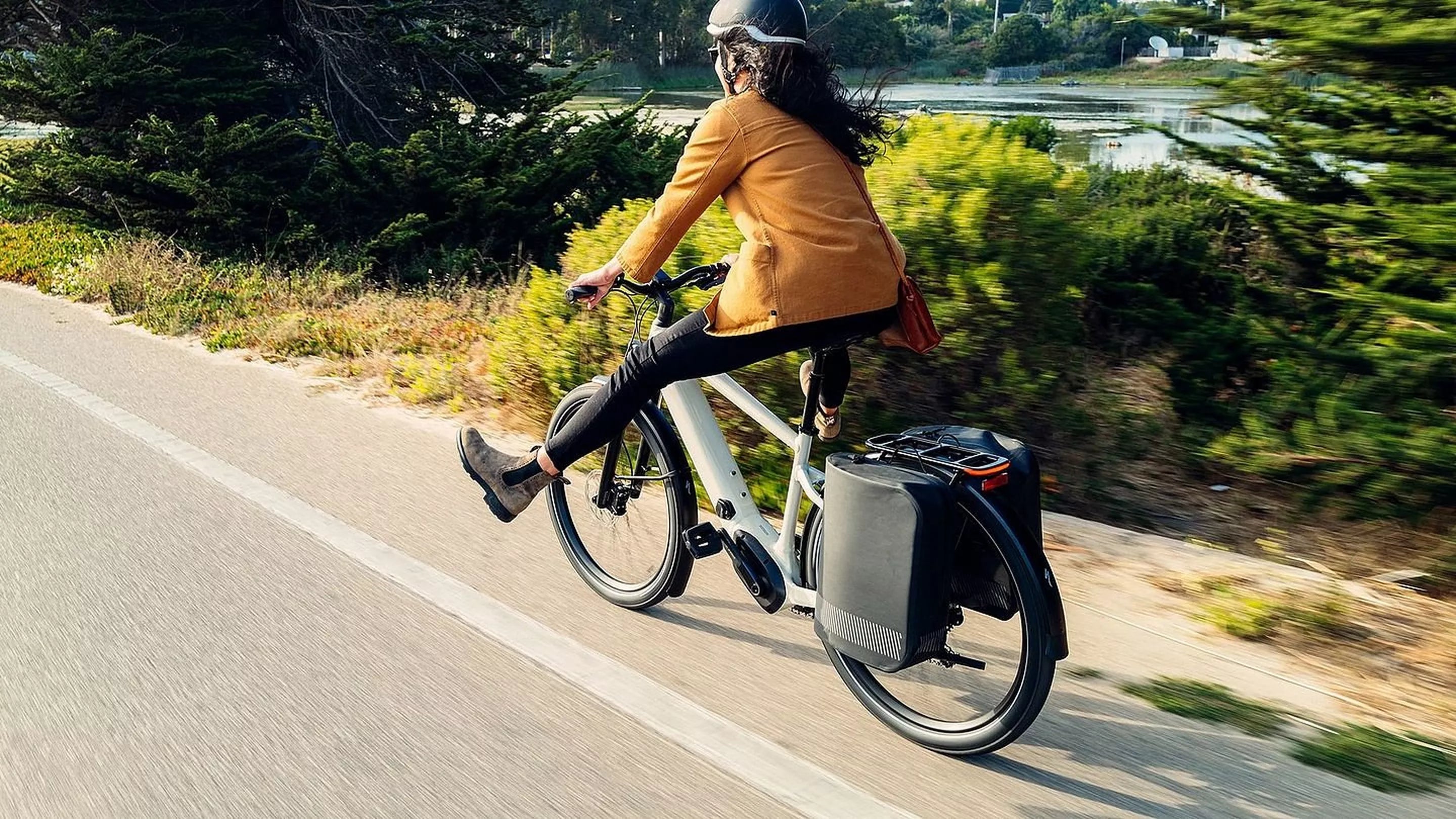 Borsa Posteriore Tailwind Pannier