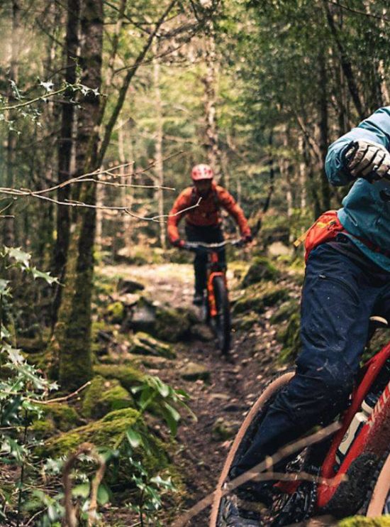 butcher-Rosolafreebikes butcher-Rosolafreebikes