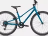 Specialized Jett 24 Rosolafreebikes