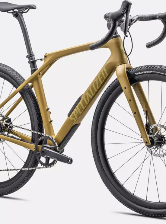 Specialized Diverge- STR Expert satin gold-Rosolafreebikes