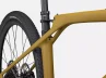 Specialized _Diverge -STR Expert satin gold-Rosolafreebikes