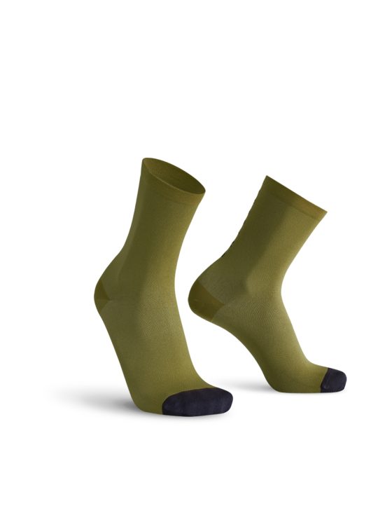 1692-kiwi-fronte 1692-kiwi-fronte