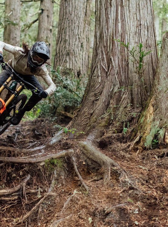 HILLBILLY- GRID- GRAVITY-2BR-T9-TIRE- 29X24_Rosolafreebikes HILLBILLY- GRID- GRAVITY-2BR-T9-TIRE- 29X24_Rosolafreebikes