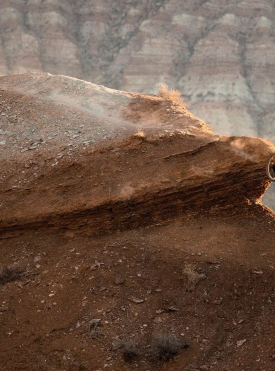 Ambush -Rosolafreebikes Ambush -Rosolafreebikes