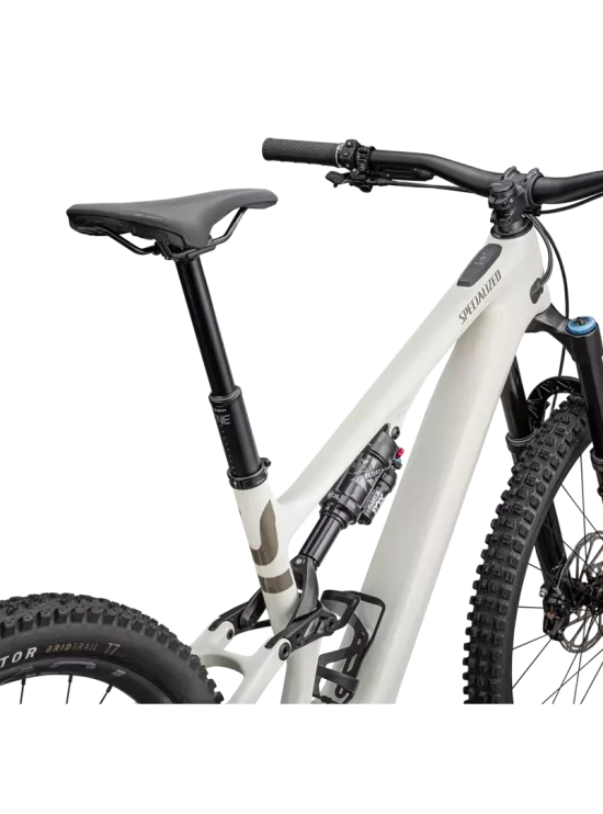 LEVO-SL-EXPERT-CARBON-BRCH-TPE 2_Rosolafreebikes LEVO-SL-EXPERT-CARBON-BRCH-TPE 2_Rosolafreebikes