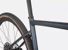 Diverge Expert Carbon Cast Blue Metallic -Rosolafreebikes