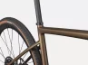 Diverge Expert Carbon-Satin Burnt Gold Metallic-3-Rosolafreebikes
