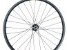 Axis Elite Disc Gravel-Road-Rosolafreebikes